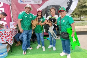 Gobierno Edomex