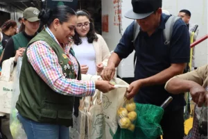 Gobierno Estado de México
