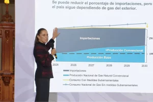 Gobierno de México