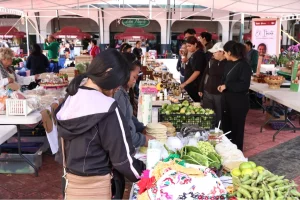 Gobierno Toluca