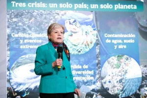 Gobierno de México