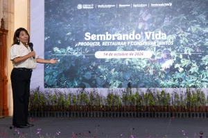 Gobierno de México