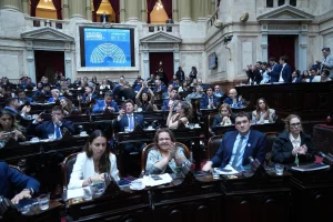 x @DiputadosAR
